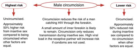 Tables Diagrams And Illustrations Guides Hiv I Base