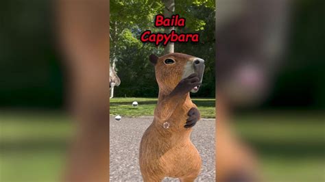 Baila Capybara La Emotiza Insana By Gatedsquarefader Tuna