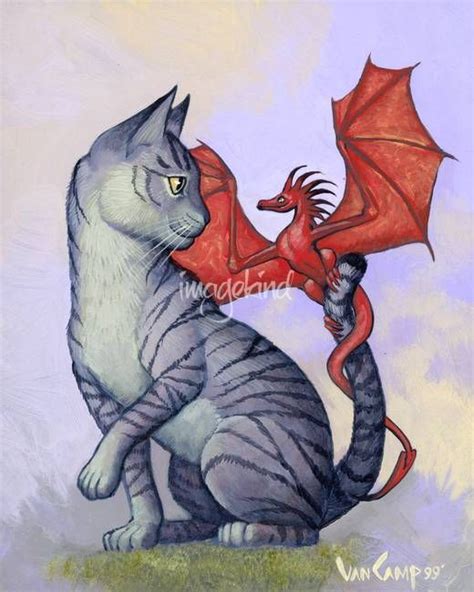 Cat And Dragon Dragon Art Dragon Cat Fantasy Art