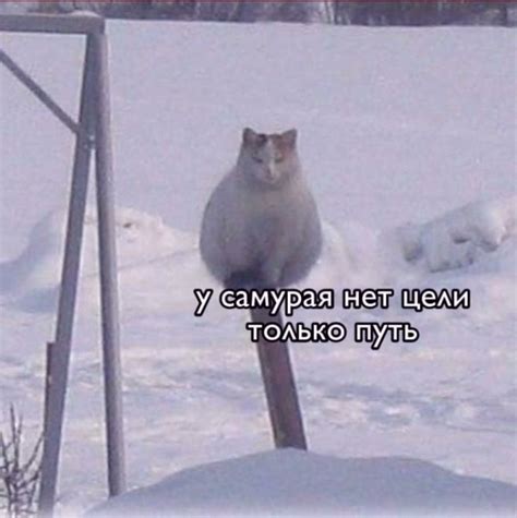 - милые пикчи | милые пикчи | ВКонтакте