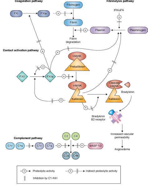 Figure From Self Administered C Esterase Inhibitor Concentrates For