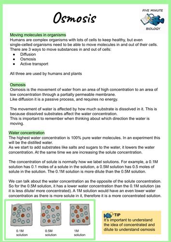 Aqa Gcse Biology Osmosis Revision Sheet Teaching Resources