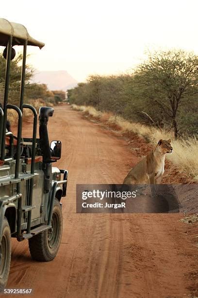 4,075 African Safari Jeep Stock Photos, High-Res Pictures, and Images - Getty Images