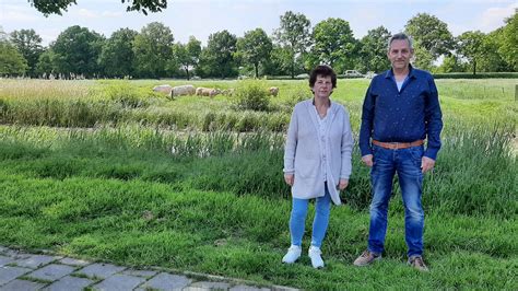 Grazende Koeien Aan De Rand Van Bossche Veldjes Dreigen Na 60 Jaar Weg