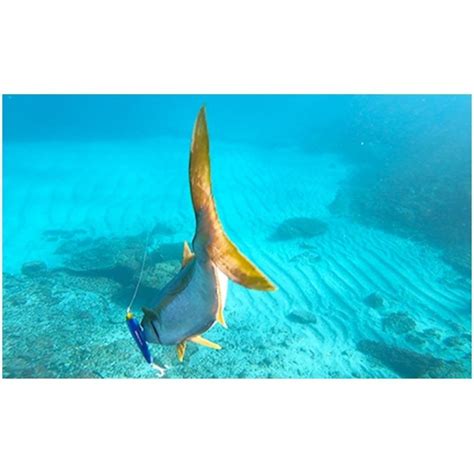 DUEL デュエル DUEL ハードコア バレットダイブ F 170F F1223 ソルトルアーホッパーポッパー フローティング 青物ショアオフショア HARDCORE BULLET