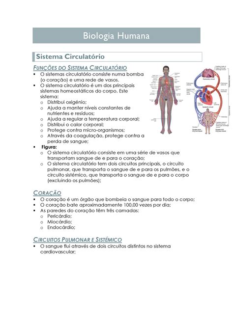 Resumos Biologia Biologia Humana Sistema Circulatório FunÇÕes Do