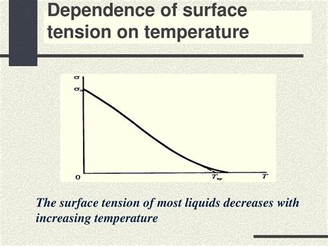 10 Surface Tension Examples in Daily Life – StudiousGuy