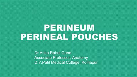 Perineal Pouches Urogenital Diaphragm PPT