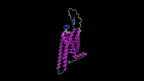 G protein-coupled receptor 3 - 3D model by endzo12 [3dc709e] - Sketchfab