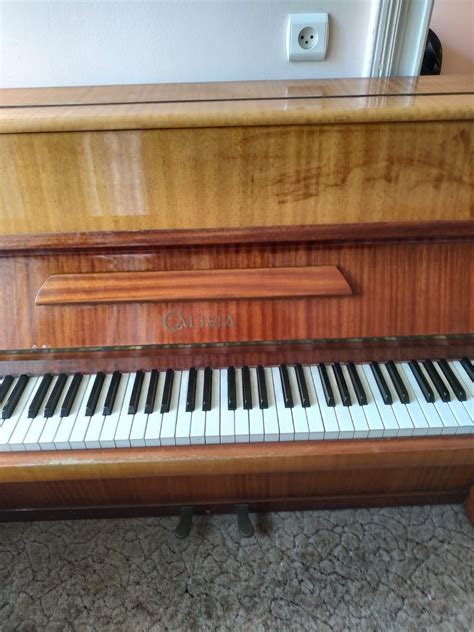 Pianino Calisia Dobry Stan Leszno Olx Pl