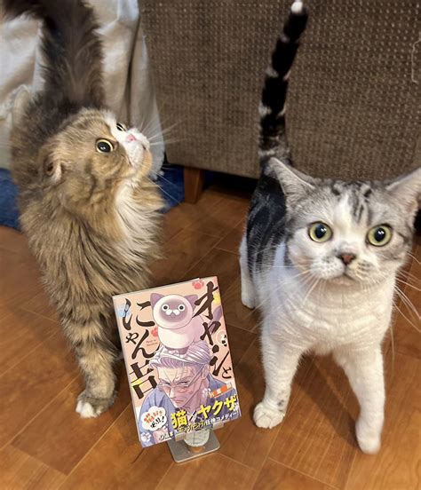 片倉 頼📦オヤジとにゃん吉👨‍🦳🐾🐱①巻発売中 🐾 On Twitter 可愛いペロリ顔でロンド氏に推薦頂きました！ ありがとうございます🐾 オヤジとにゃん吉推薦猫