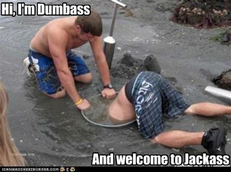 Dumbass And Welcome To Jackass Know Your Meme