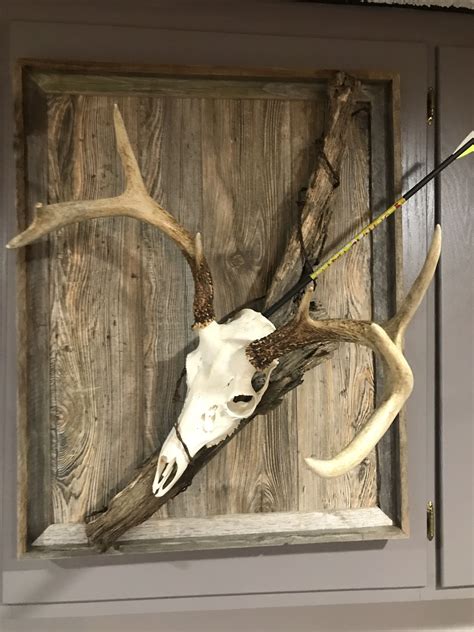 European Whitetail Mount Deer Hunting Decor Deer Antler Decor