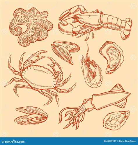 Sketch Seafood Stock Vector Illustration Of Crustacean