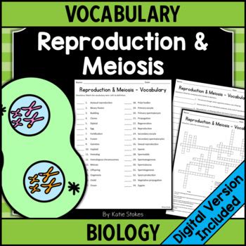 Reproduction Meiosis Vocabulary Worksheets Biology Printable