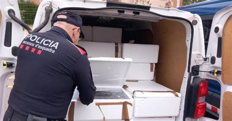 Agentes de la Policía Local de El Puerto de Santa María frustran