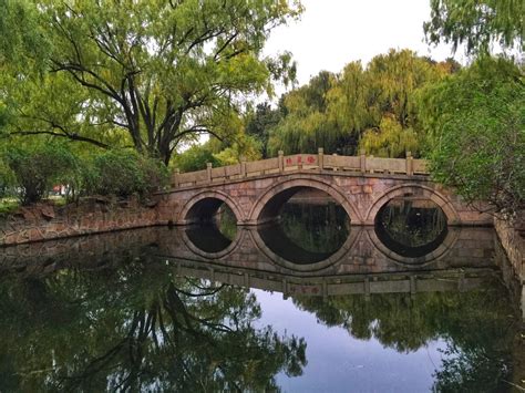 Gongqing Forest Park Shanghai All You Need To Know Before You Go With Photos Tripadvisor