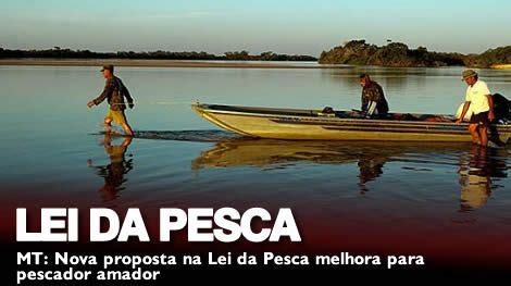 Nova Proposta Na Lei Da Pesca Melhora Para Pescador Amador Portal