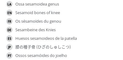 Sesamoid bones of knee - e-Anatomy - IMAIOS