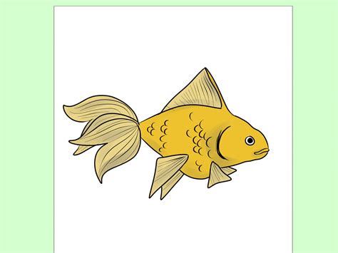 How To Draw Goldfish 9 Steps With Pictures WikiHow