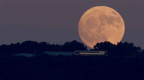 Descubre cómo afectará hoy a los signos del zodiaco la superluna del ciervo