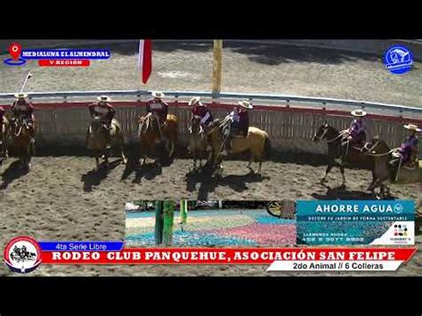 3RA SERIE LIBRE RODEO CLUB PANQUEHUE ASOCIACION SAN FELIPE MEDIALUNA