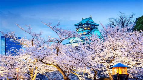 4K Osaka Wallpapers - Top Free 4K Osaka Backgrounds - WallpaperAccess