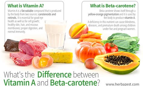 What S The Difference Between Vitamin A And Beta Carotene HerbaZest