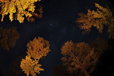 robreedphotoblog: Solo Camping at Cherry Springs State Park