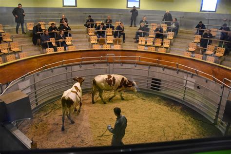 Le Marché au cadran de Mauriac Cantal adapte ses ventes aux règles de