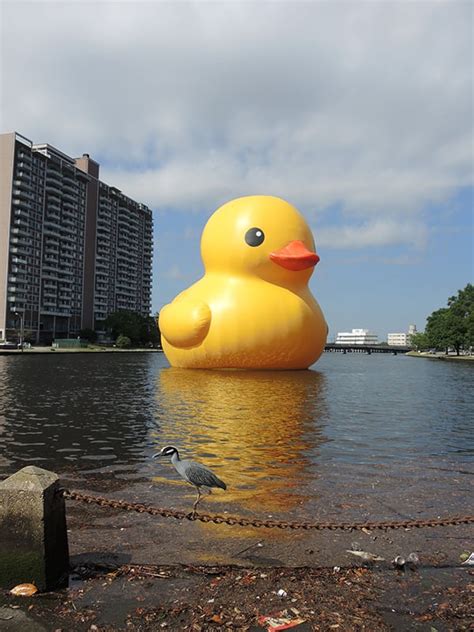 Is Giant Rubber Duck Masking an Environmental Disaster?