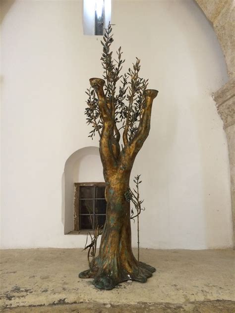 Olive Tree Where Jesus Had His Last Supper Last Supper Olive Tree Jesus