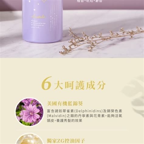 Longhairprincess 長髮公主的秘密粉紫夢境系列天使光能量髮粹500ml 屈臣氏 Watsons