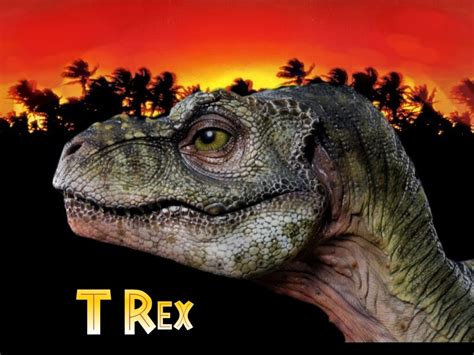 Baby T-Rex by DsKoRn on DeviantArt