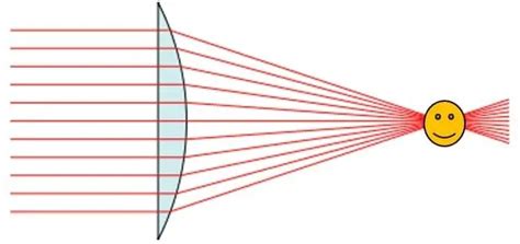 Condenser of a Microscope: What’s the Function and Why Should I Care ...