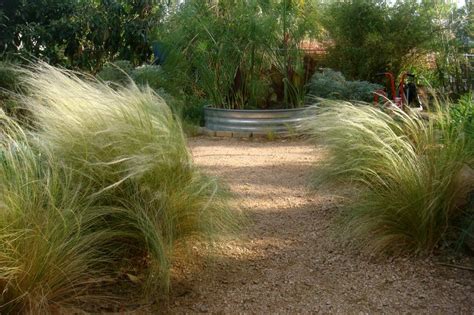 Drought tolerant landscape, Drought tolerant grass, Grasses landscaping