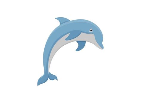 Dolphin Vector Illustration Vector Illustration Illustration Dolphins