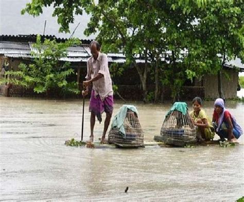 Assam Floods 7 Killed Over 2 Lakh People Affected Across 24 Districts