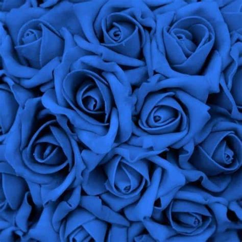 9003 Les Roses Bleue Fleuriste Maya