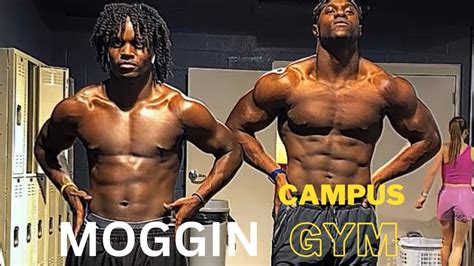 Moggin Campus Gym Gannon University Ep2 Youtube