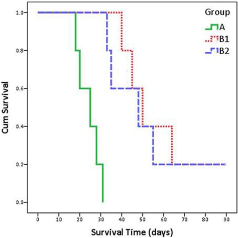 The Survival Curves Of These Three Groups Download Scientific Diagram