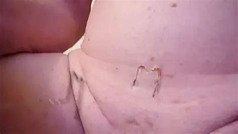 Hund Wolf Gef Lschter Spermadildo Anal Xhamster