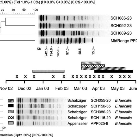 Pfge Profiles Of Smai Digested E Faecalis Strains From Schabziger And