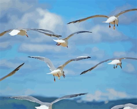 Flying Seagull Birds Diamond Painting - DiamondPaintingKitsAustralia.COM