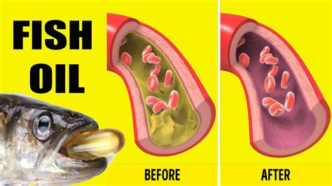 The Top 10 Benefits Of Taking Fish Oil Every Day Fish Oil Benefits