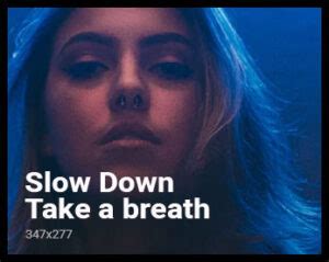 Boobyday The Amazing Journey Of A Unique Star