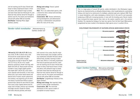 Freshwater Fishes Of Southern Africa A Complete Guide Nhbs Field