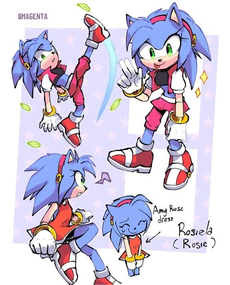 Sonic And Amy Sonic And Shadow Sonic Fan Characters Anime Characters