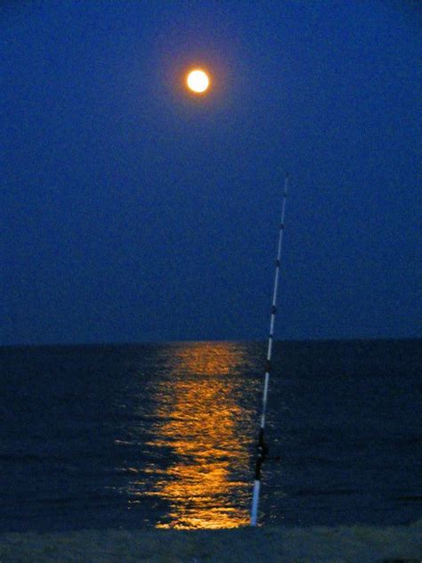 Fishing Under The Moon Fish Gone Fishing Fish Art