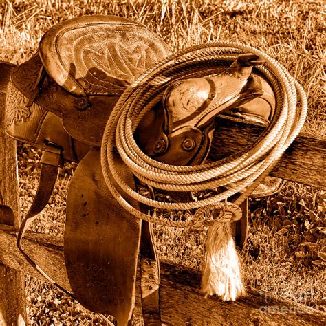 Western Lasso On Saddle Sepia Photograph By Olivier Le Queinec